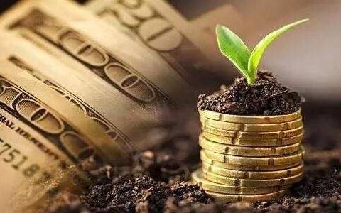 国际期货案件处理