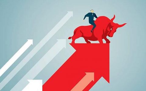 国际期货 企业股东